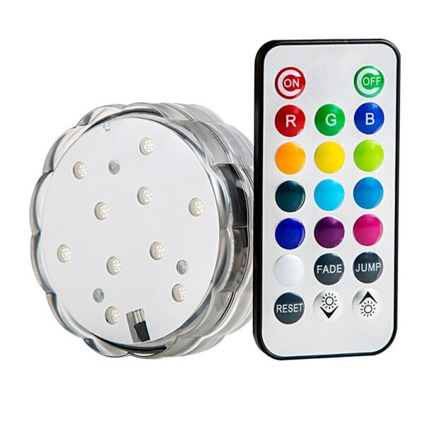 LED Light with remote